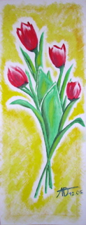 Tulpe